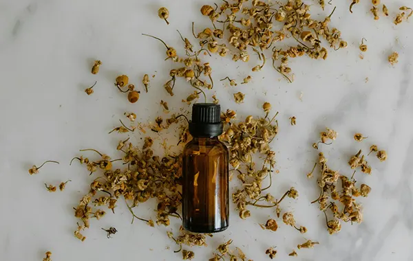 Less is More kuvituskuva pullo ja yrttejä.