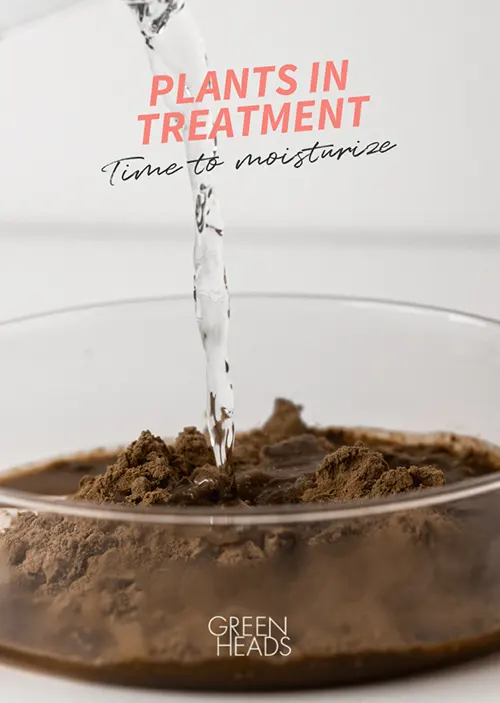 Plants in treatment hiushoito, kasveista ja yrteistä.